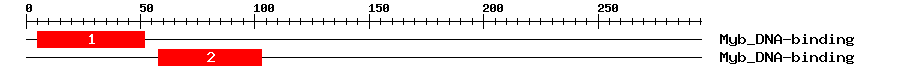 Signature Domain