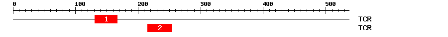 Signature Domain