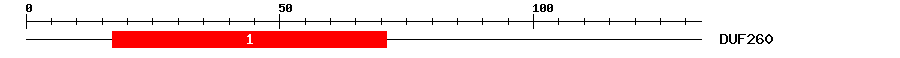 Signature Domain