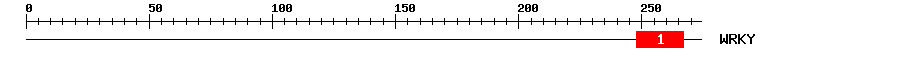 Signature Domain