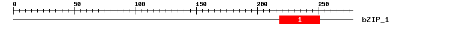 Signature Domain