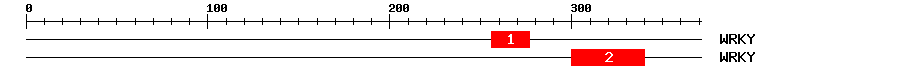 Signature Domain