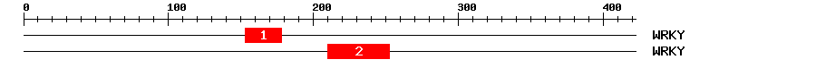 Signature Domain