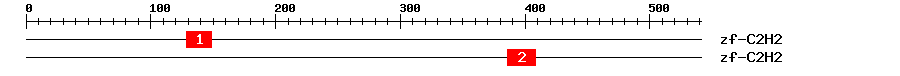Signature Domain