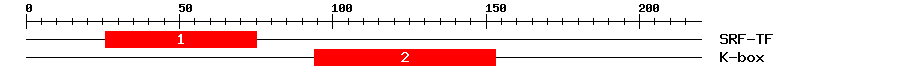 Signature Domain