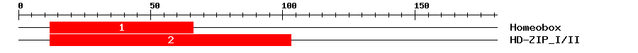 Signature Domain