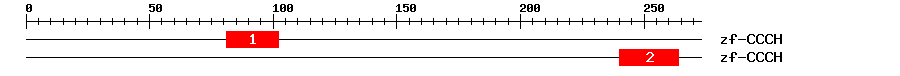 Signature Domain