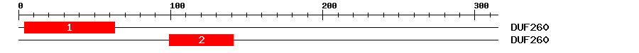 Signature Domain