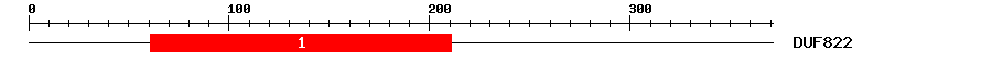 Signature Domain