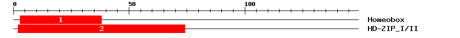 Signature Domain