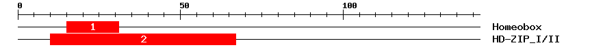 Signature Domain