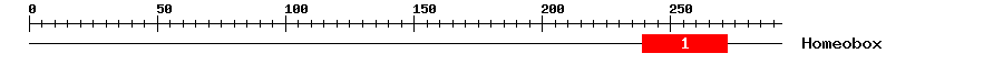 Signature Domain