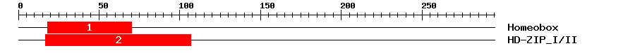 Signature Domain
