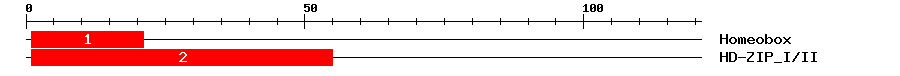 Signature Domain