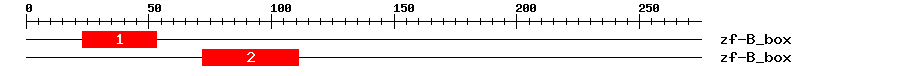 Signature Domain