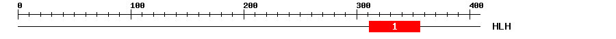 Signature Domain