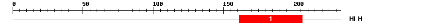 Signature Domain