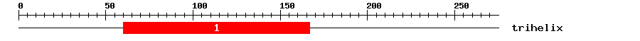 Signature Domain