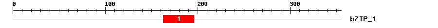 Signature Domain