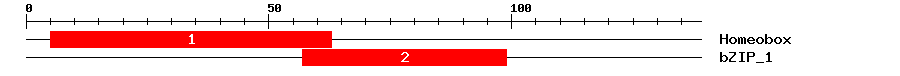 Signature Domain