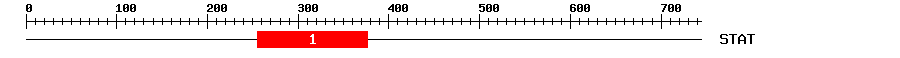Signature Domain