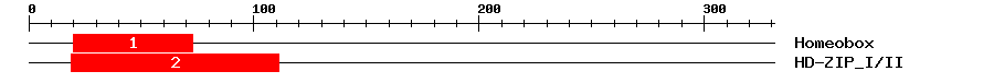 Signature Domain