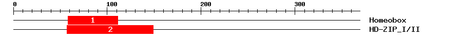 Signature Domain