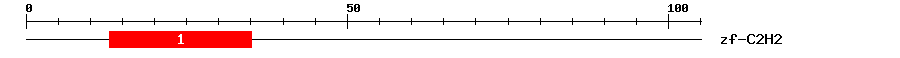 Signature Domain