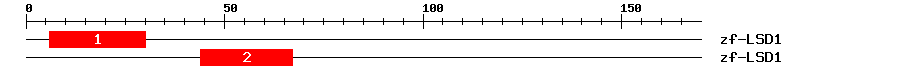 Signature Domain