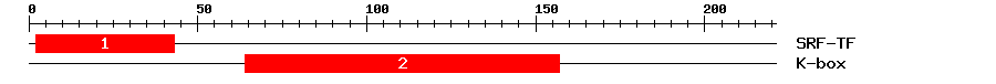 Signature Domain