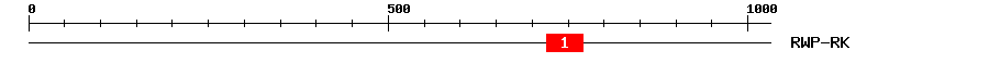 Signature Domain