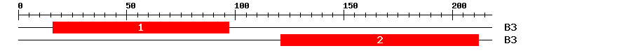 Signature Domain
