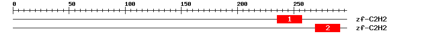 Signature Domain