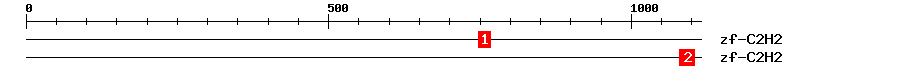 Signature Domain