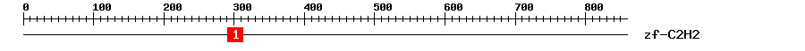 Signature Domain