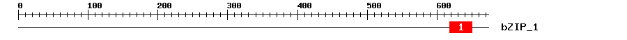 Signature Domain