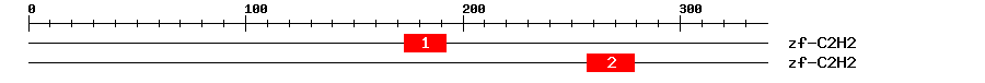 Signature Domain