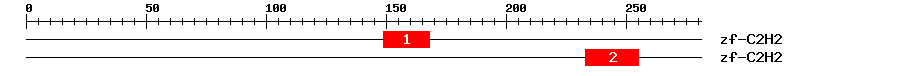Signature Domain