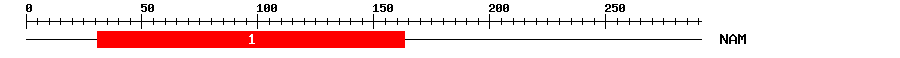 Signature Domain