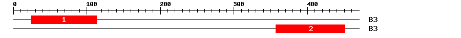 Signature Domain