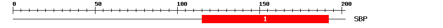 Signature Domain