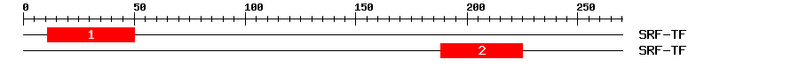 Signature Domain