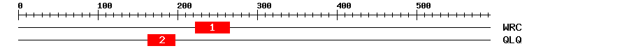 Signature Domain