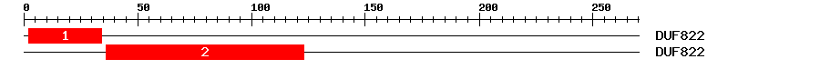 Signature Domain