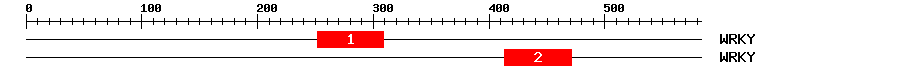 Signature Domain