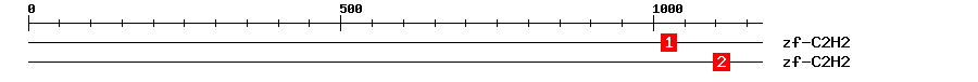Signature Domain