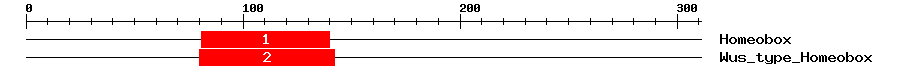 Signature Domain