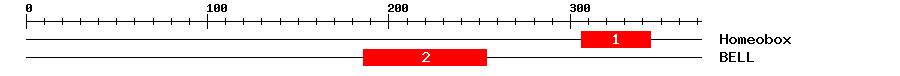 Signature Domain