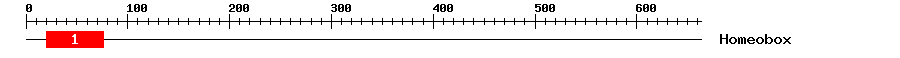 Signature Domain