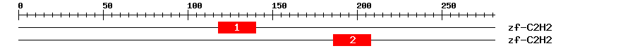 Signature Domain